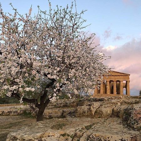 Bed and Breakfast Alfa Quadro Agrigento Zewnętrze zdjęcie