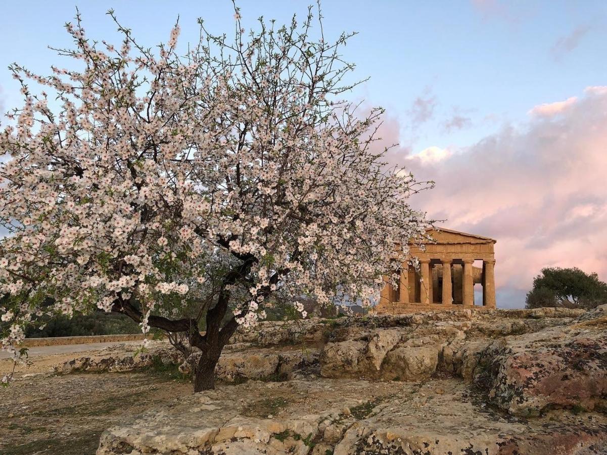 Bed and Breakfast Alfa Quadro Agrigento Zewnętrze zdjęcie